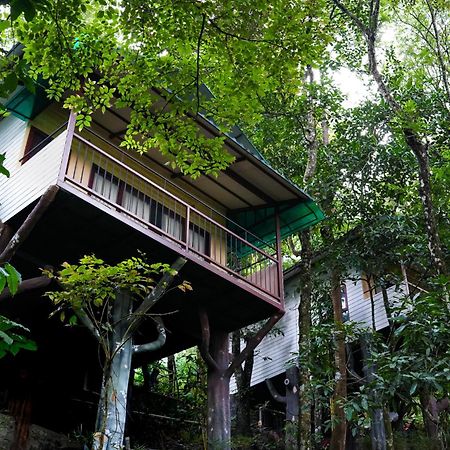 Space Rock Resort Kalpatta Exterior foto