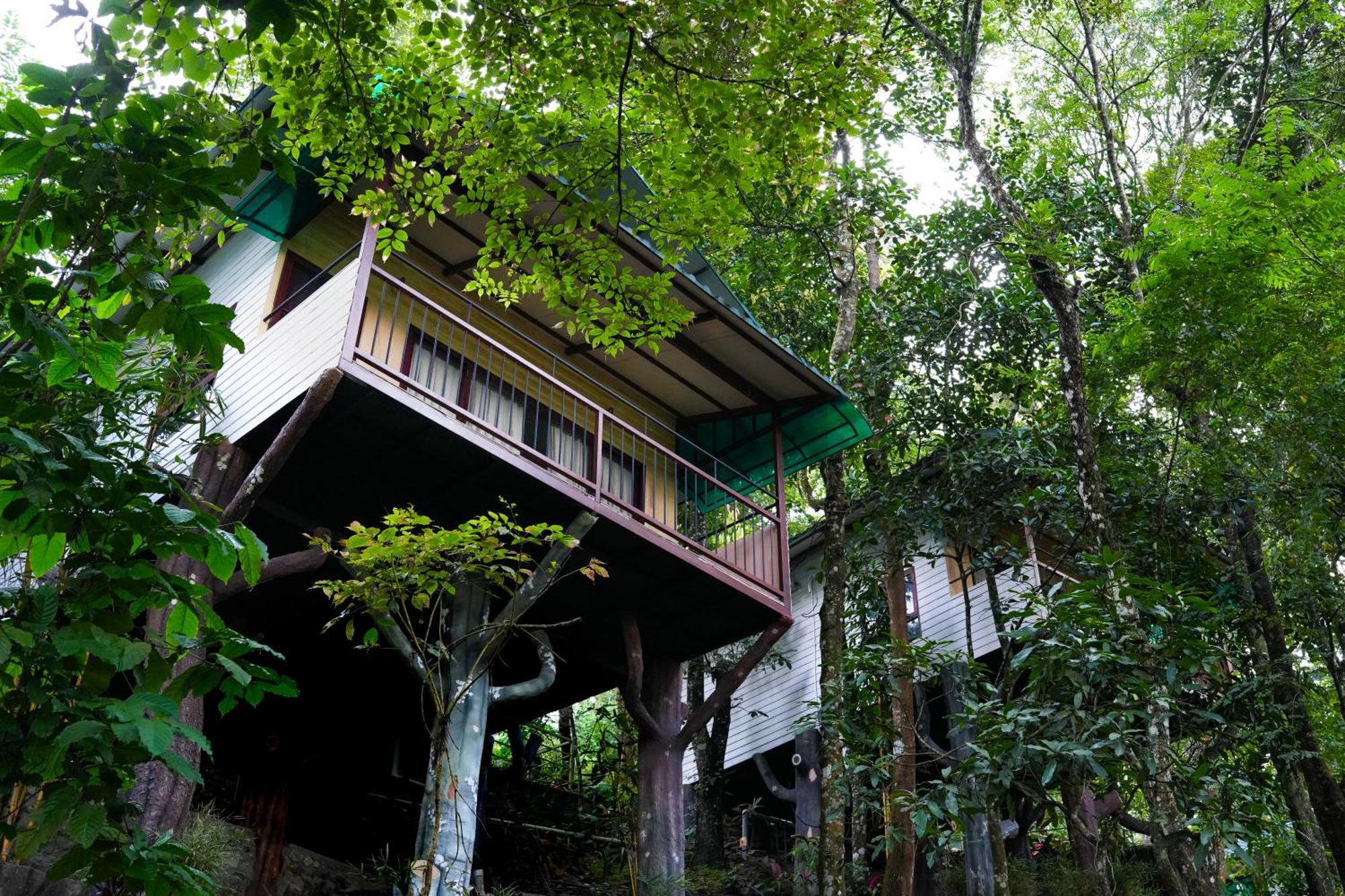 Space Rock Resort Kalpatta Exterior foto